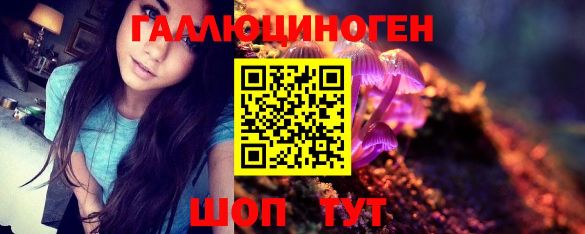 Конаково  где купить наркоту  Галлюциногенные грибы Psilocybe  Вход с VPN  Галлюциногенные грибы GOLDEN TEACHER 
